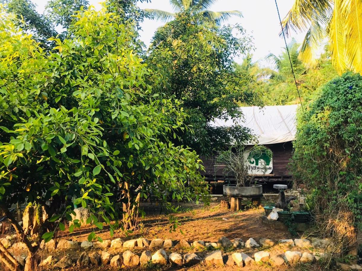 Aliya Riverside&Safari Resort Udawalawe Exterior foto