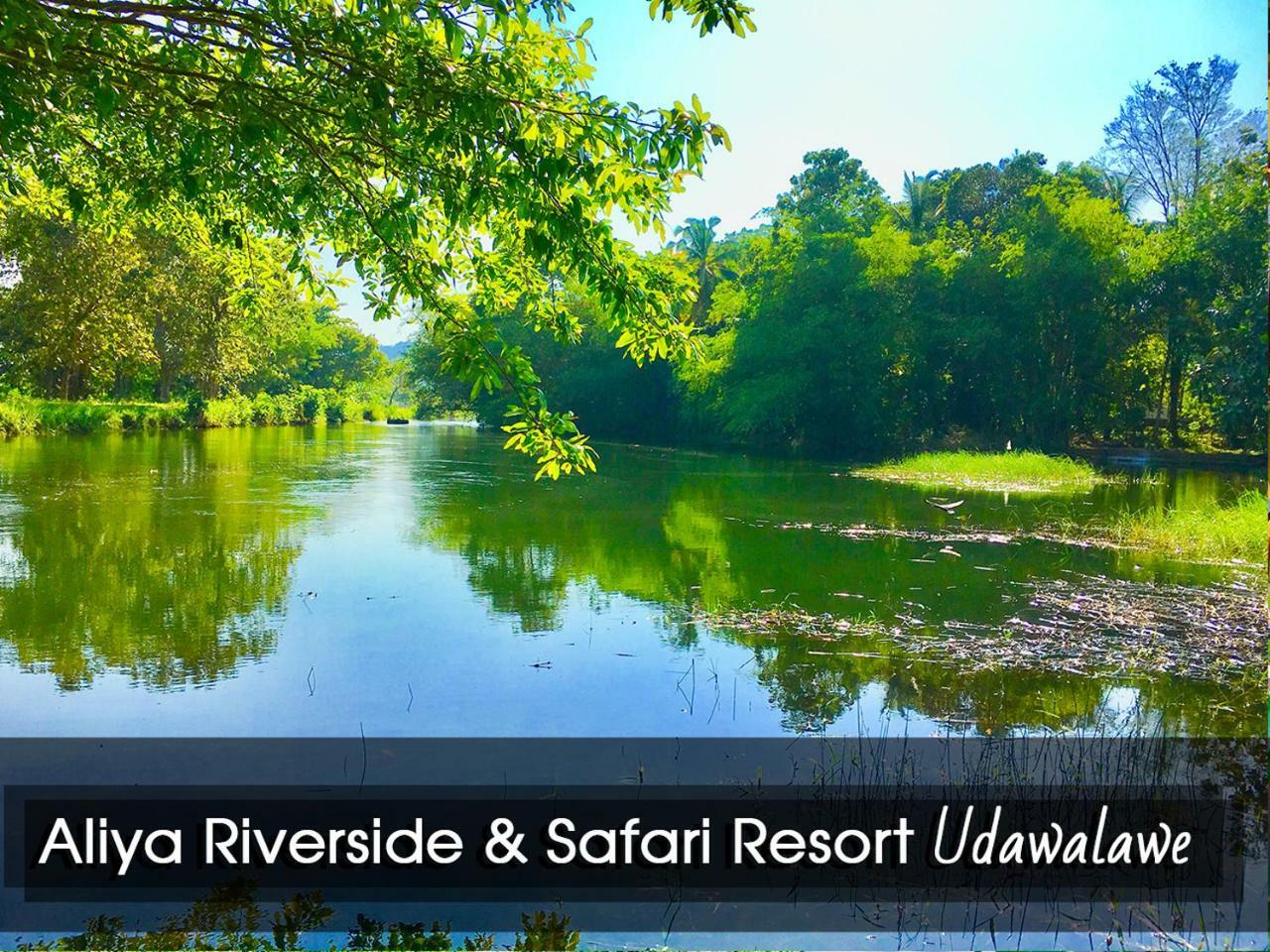Aliya Riverside&Safari Resort Udawalawe Exterior foto