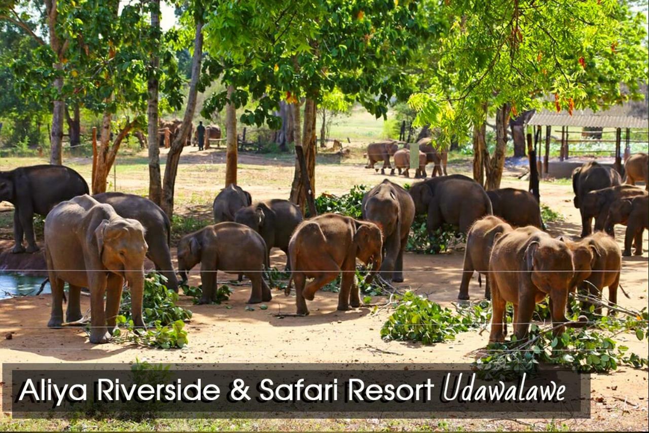Aliya Riverside&Safari Resort Udawalawe Exterior foto