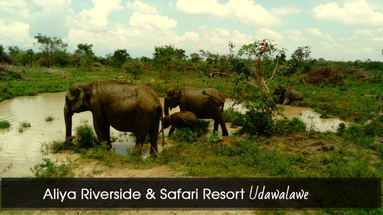 Aliya Riverside&Safari Resort Udawalawe Exterior foto