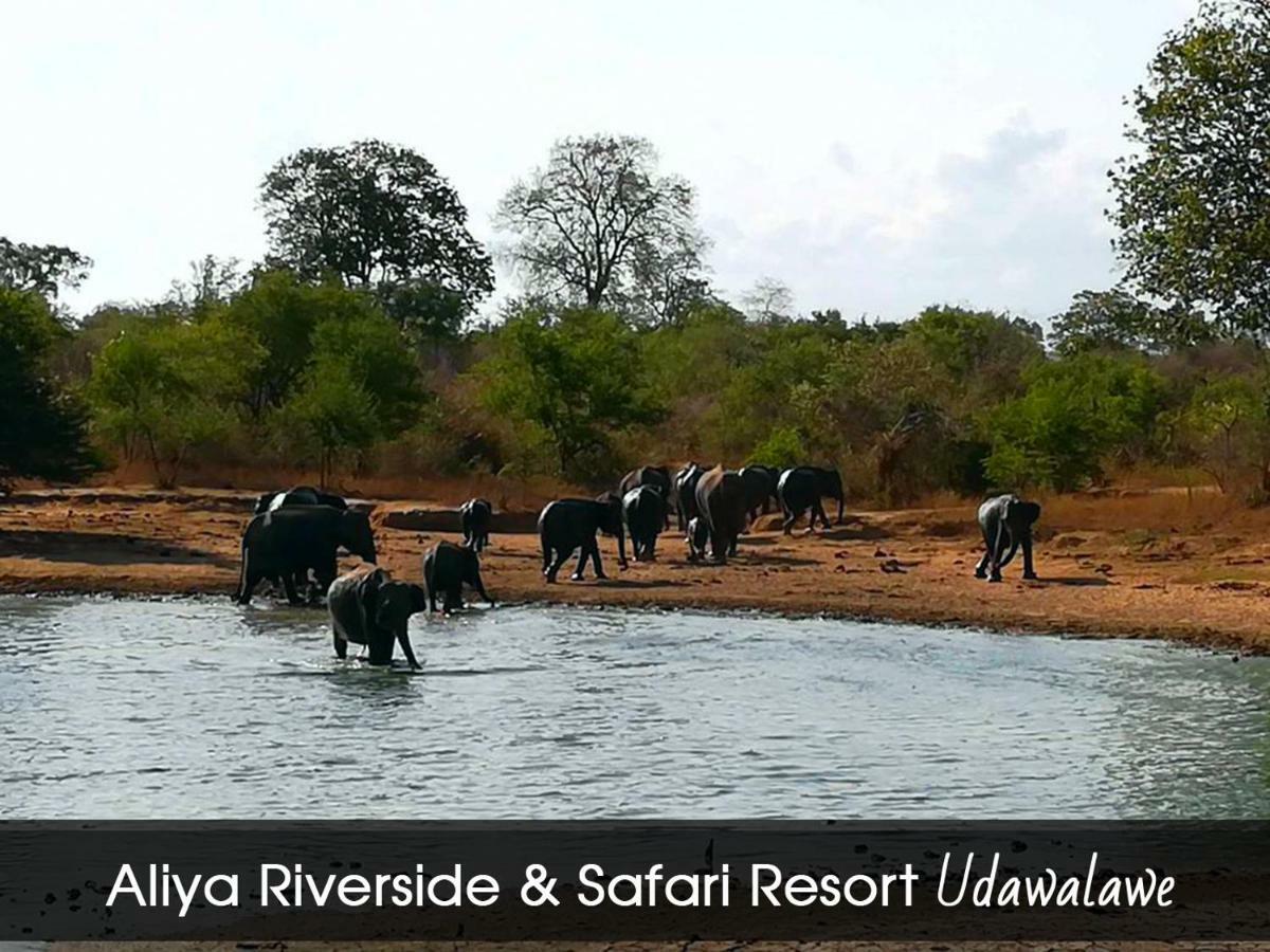 Aliya Riverside&Safari Resort Udawalawe Exterior foto