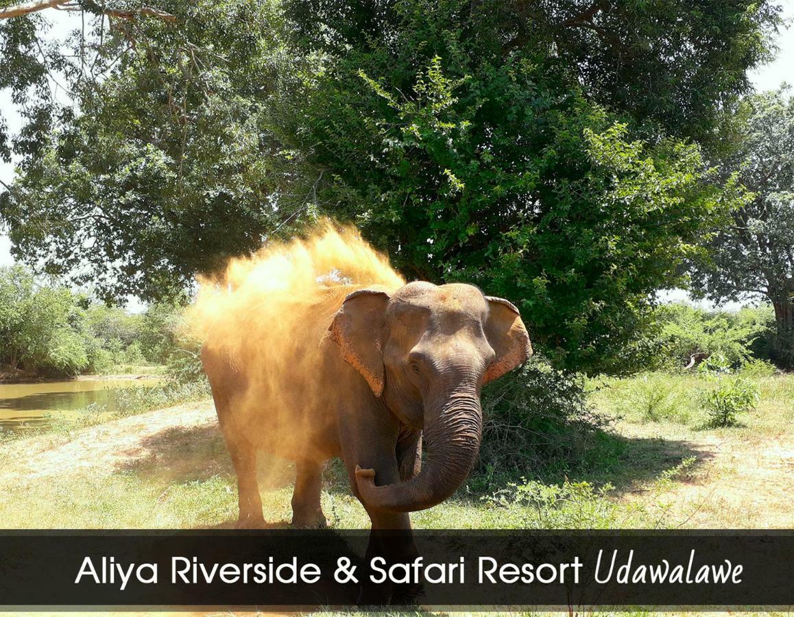Aliya Riverside&Safari Resort Udawalawe Exterior foto