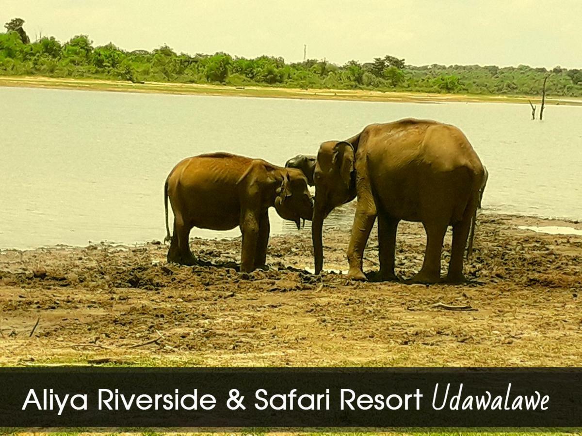 Aliya Riverside&Safari Resort Udawalawe Exterior foto