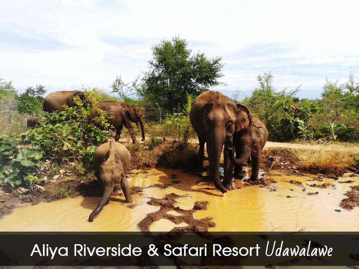 Aliya Riverside&Safari Resort Udawalawe Exterior foto