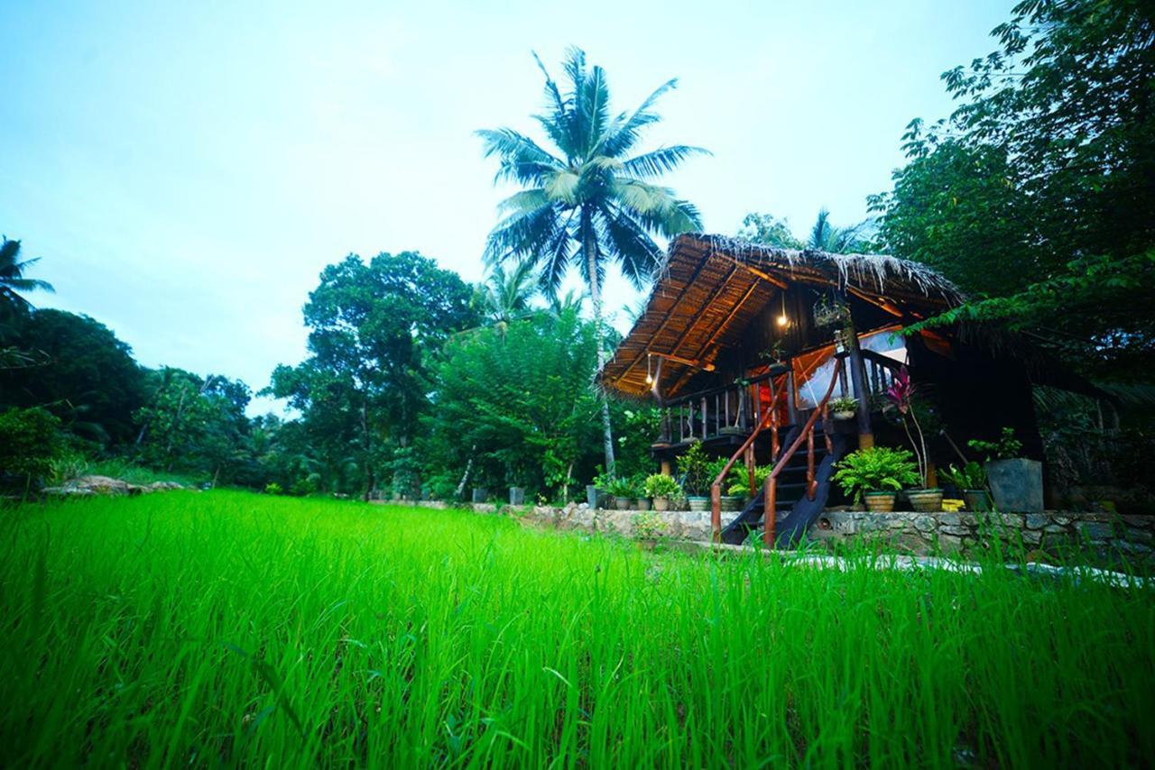 Aliya Riverside&Safari Resort Udawalawe Exterior foto